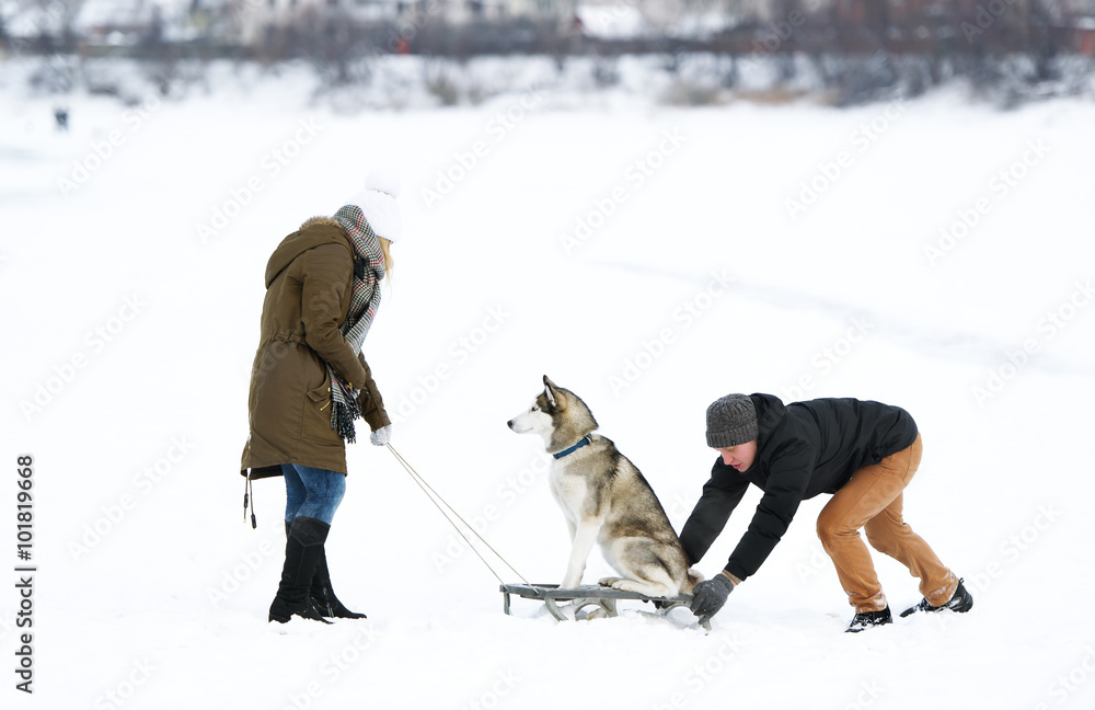 Young people roll a dog on sledge.