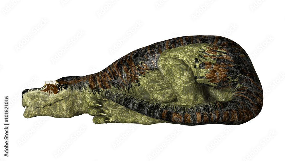 Dinosaur Tyrannosaurus Rex on White Dinosaur Tyrannosaurus Rex on White