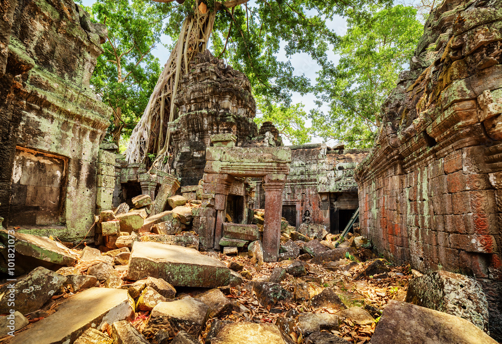 Fototapeta premium Green trees growing among ruins of Preah Khan temple in Angkor