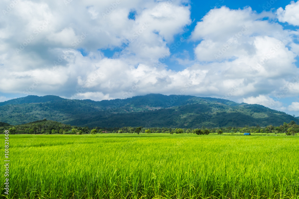 Fields, mountains and sky.