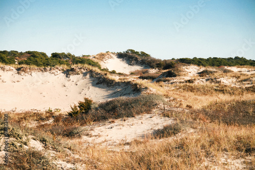 Sand Dunes in the Autumn at Horseneck Beach