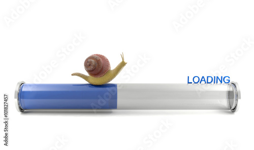 Canvastavla Snail crawling on download bar, conceptual image showing slow internet downloadi