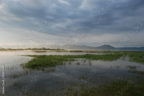 Cerknica intermittent lake, nature reserve, a protected area,  karst phenomenon, aquatic vegetation, marsh, river disappearing, flood, swamp, morning, misty, silent, pacefulness,