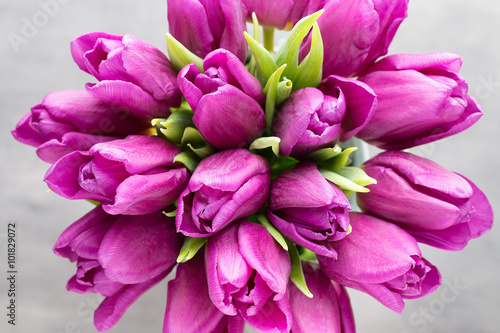 Purple tulip bouquet on the gray background.