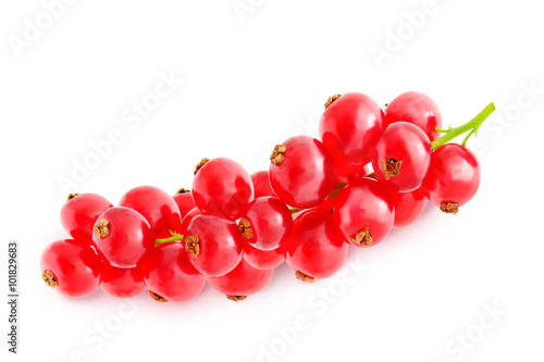 Sprig of red currant with leaf isolated on a white background. Design element for product label, catalog print, web use.
