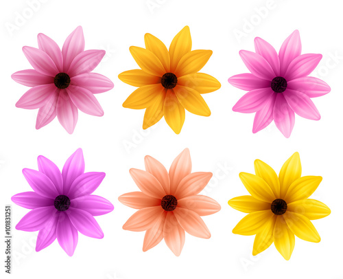 Fototapeta Naklejka Na Ścianę i Meble -  Realistic 3D Set of Colorful Daisy Flowers for Spring Season Isolated in White Background. Vector Illustration
