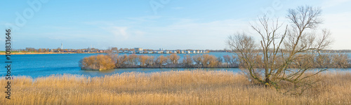 Fototapeta Naklejka Na Ścianę i Meble -  Shore of a lake below a blue cloudy sky in winter