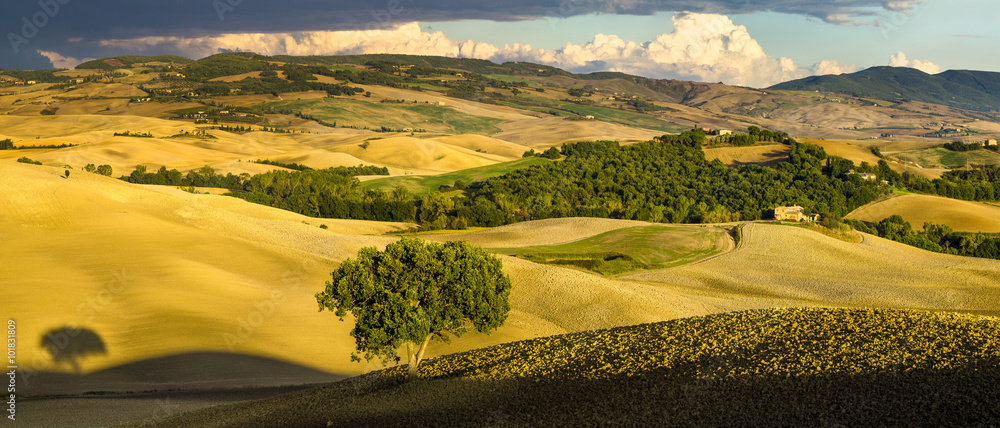 Panorama doliny i pól w Toskanii - obrazy, fototapety, plakaty 