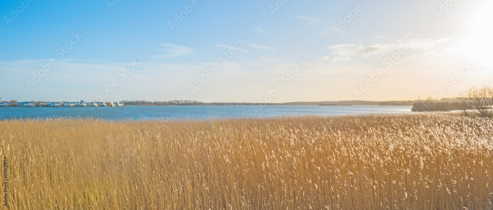 Shore of a lake below a blue cloudy sky in winter Shore of a lake below a blue cloudy sky in winter