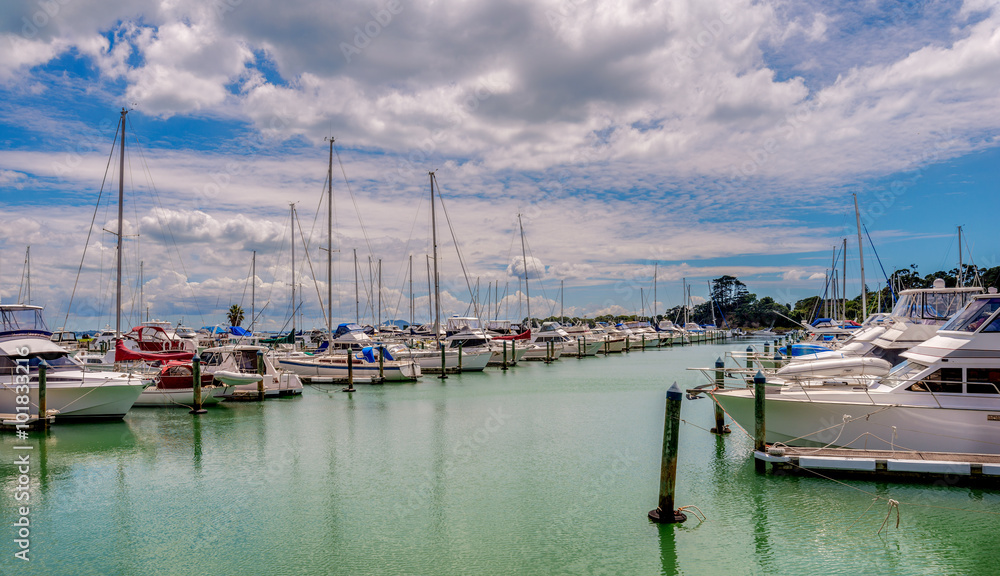 Yachts moored in Pine Harbor, Auckland, New Zealand