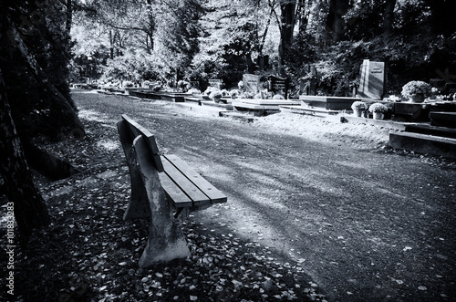 Φωτογραφία cemetery path monochrome