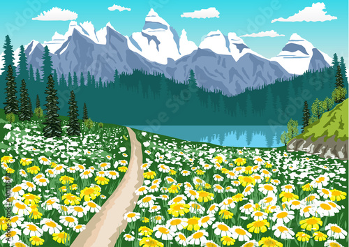 dirt road in the middle of the chamomile field leading to a mountain lake