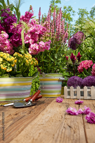 Outdoor gardening tools on old wood table 