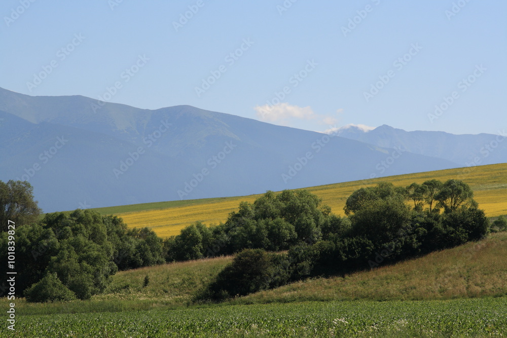 Obraz premium Mountain Tatry, Slovakia, year 2010