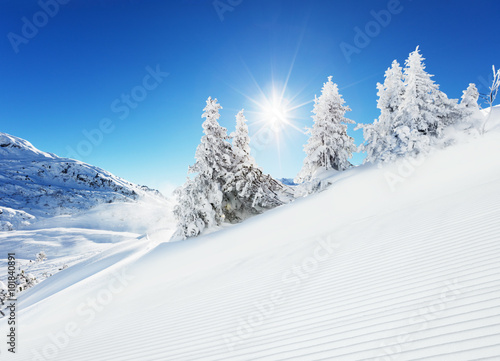 Beautiful winter slope in the mountains