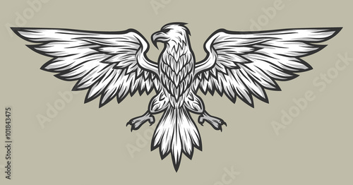 Eagle mascot spread wings. Symbol, mascot.