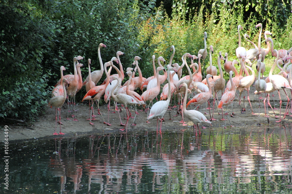 Obraz premium Zoo in Berlin, year 2013