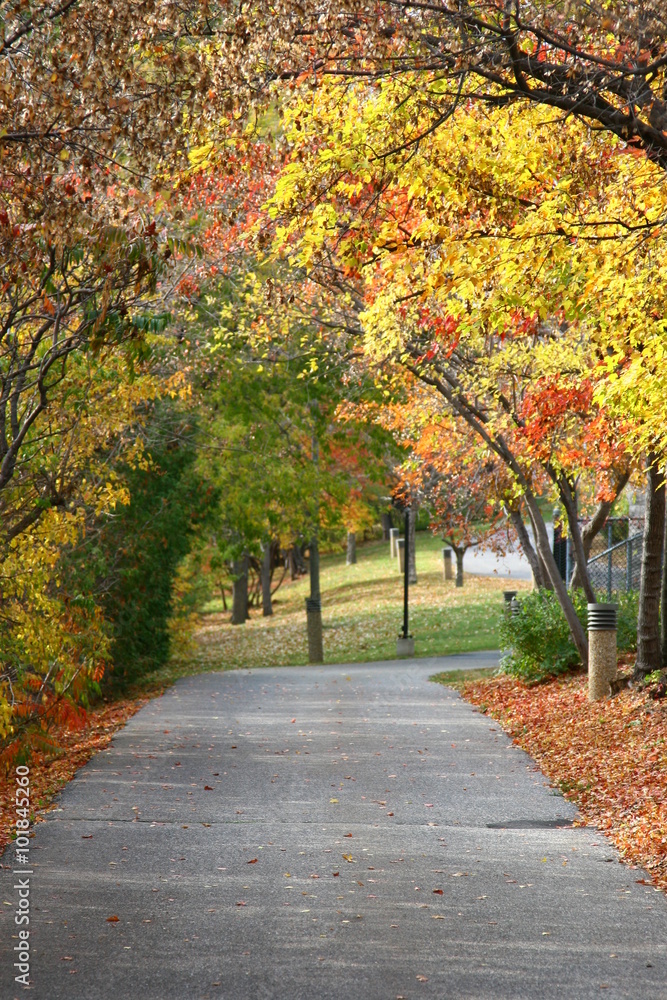 Ottawa Fall Ottawa Fall