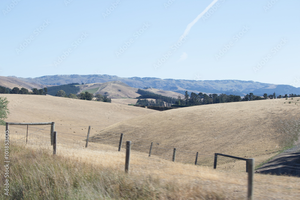 Rolling Farmland