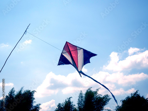 Kite isolated on blue background