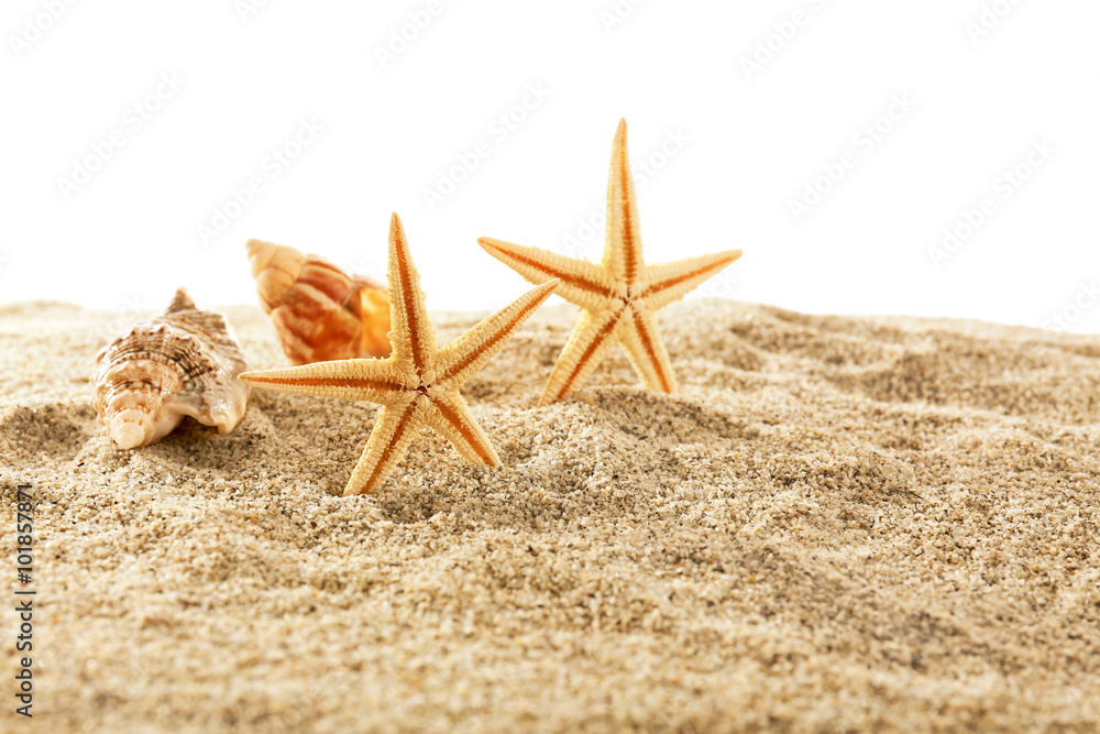 Sea stars and shells on sand isolated on white background Sea stars and shells on sand isolated on white background