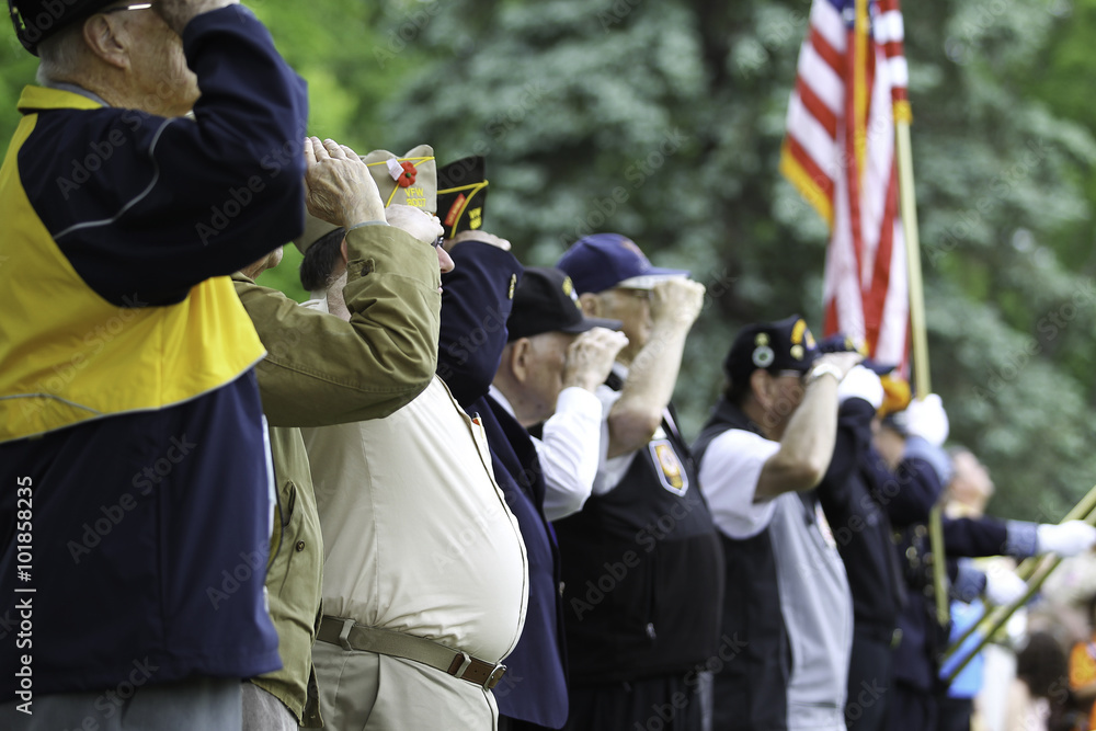 Veterans Saluting - obrazy, fototapety, plakaty 