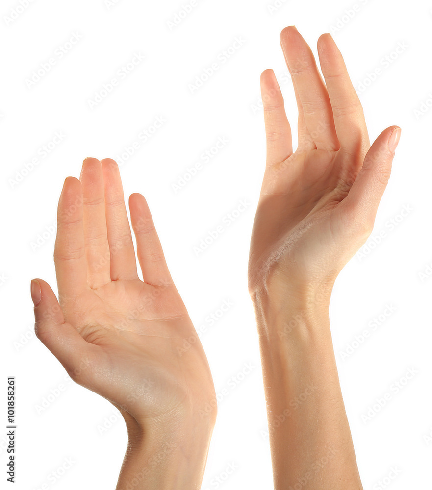 Human hands isolated on white background Human hands isolated on white background