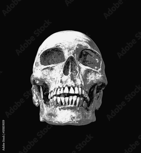 Human skull on isolated black background