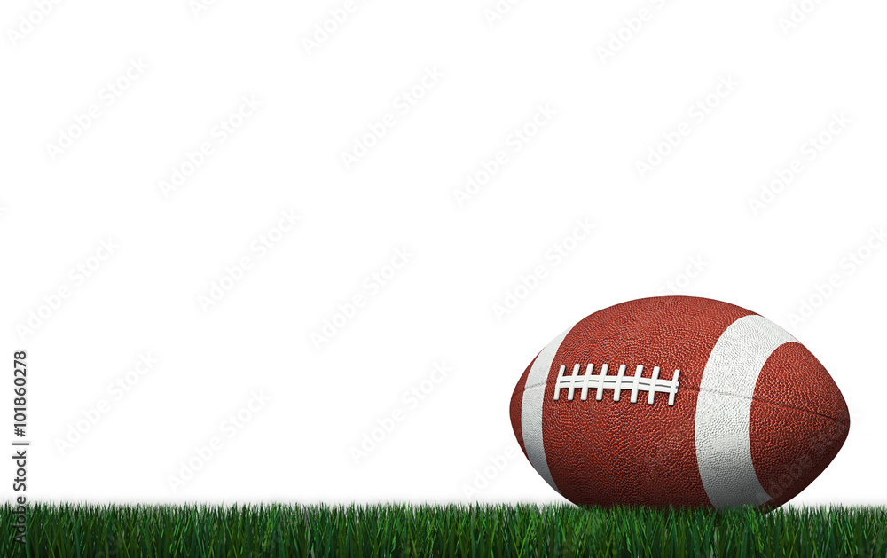 Φωτογραφία American Football with Yard Line on American Football Field