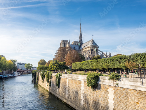 Notre dame cathedral in Paris