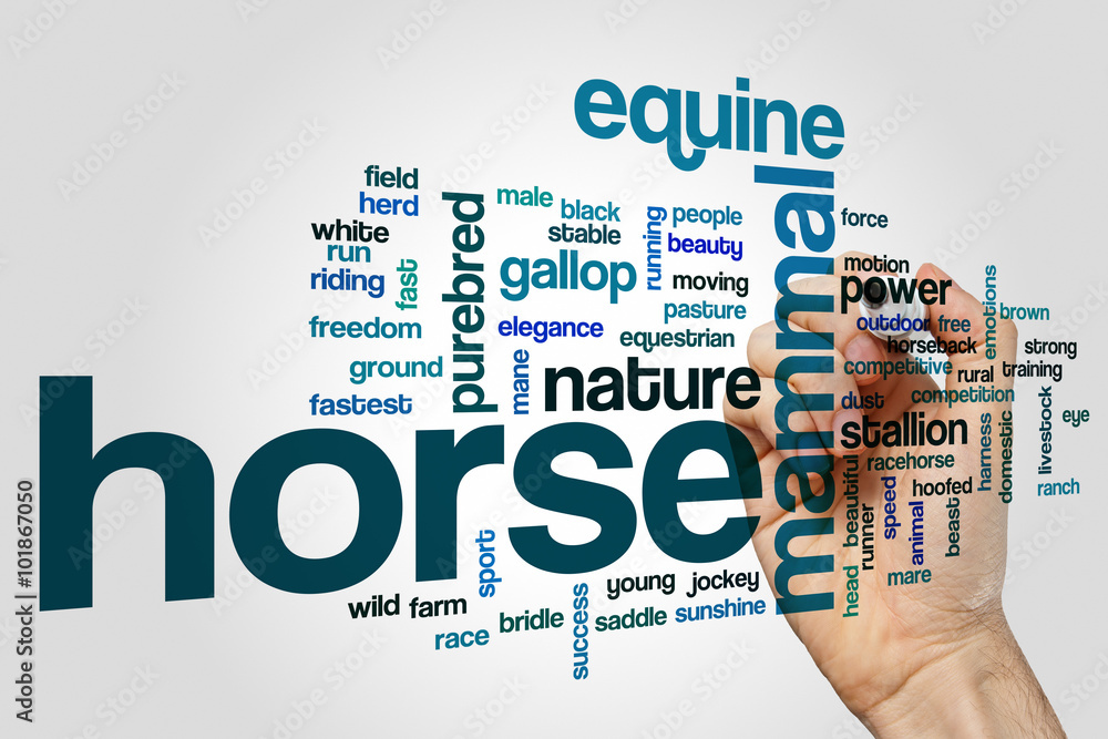 Horse word cloud concept - obrazy, fototapety, plakaty 