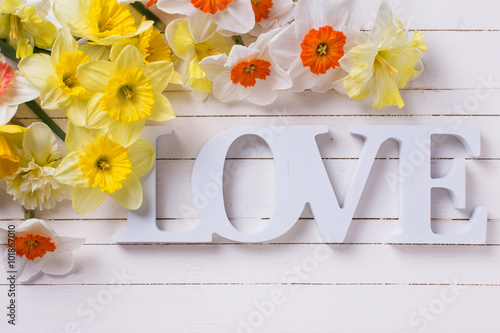 Fresh yellow narcissus flowers and word love on white wooden pla