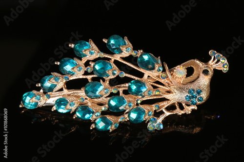 brooch jewelry isolated on black background