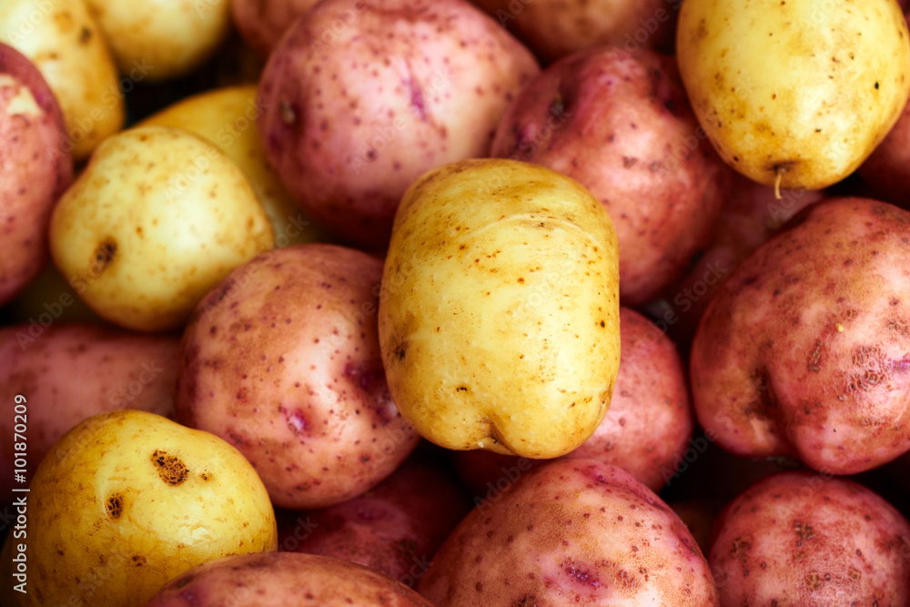 Wet raw potatoes Wet raw potatoes