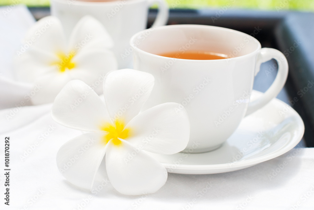 White Cup Fresh Hot Tea Plumeria Flowers on White. Tropical Style Beverage White Cup Fresh Hot Tea Plumeria Flowers on White. Tropical Style Beverage