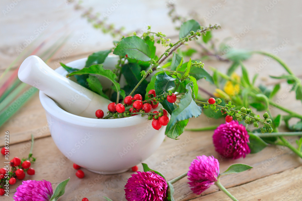 Fresh herbs in the mortar, alternative medicine Fresh herbs in the mortar, alternative medicine