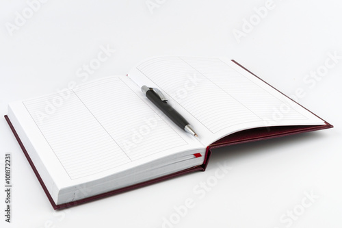 Black ballpoint pen in the center of an open diary