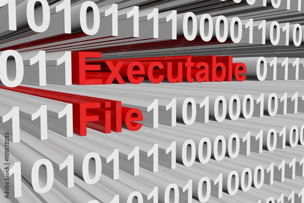 executable file is presented in the form of binary code