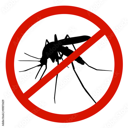 virus zika