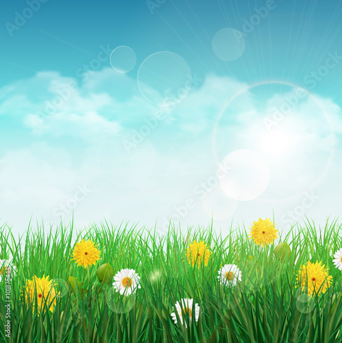 Spring background with green grass and sky, one white daisy and dandelion flower.