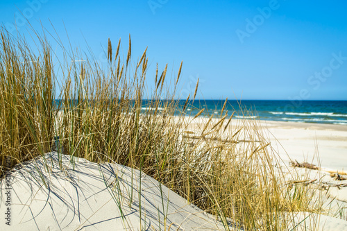 Grass sand dune beach sea view, Leba, Baltic seascape. © alicja neumiler