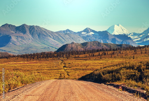 Denali highway photo