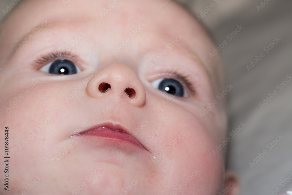 Portrait of beaiutiful four months old baby Portrait of beaiutiful four months old baby