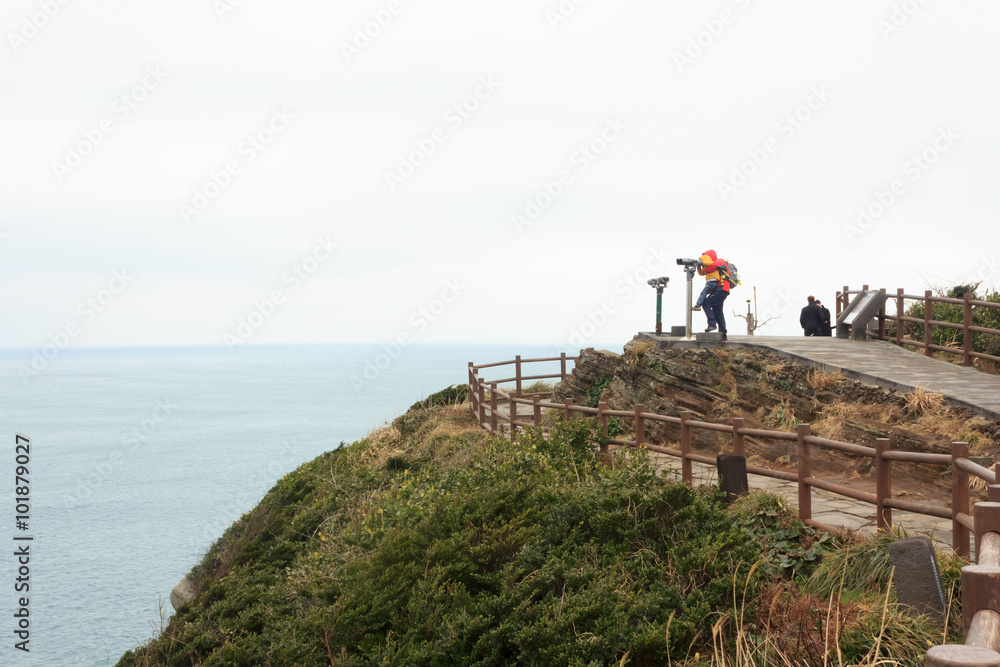 Fototapeta premium Winter landscapes in Jeju Island South Korea