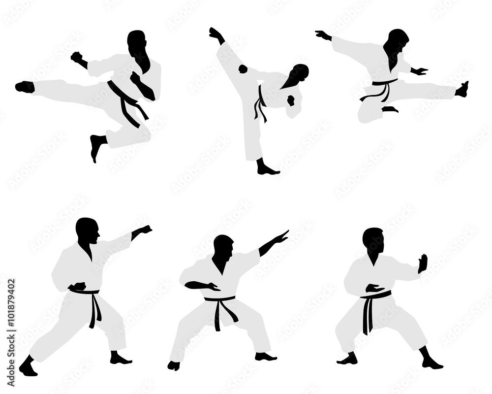 Εκτύπωση καμβά Six karateka silhouettes