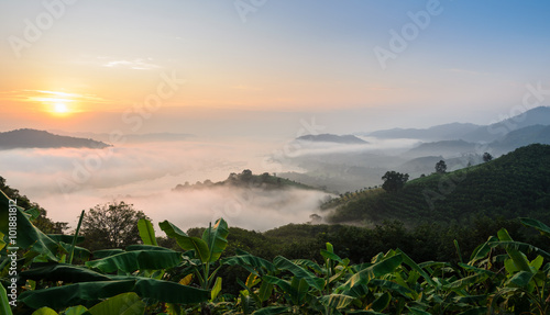 Obraz na plátně Sunrise with sea of fog above Mekong river at Phu Huai Isan mountain viewpoint i