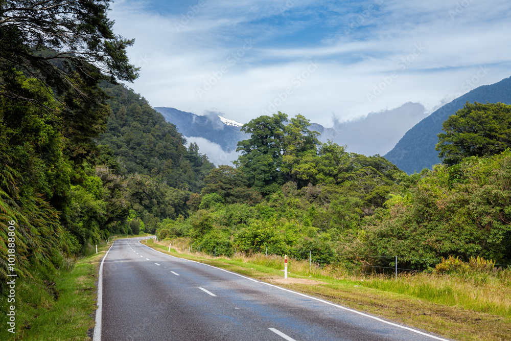 Φωτογραφία Scenic winding road through temperate rainforest at the South Island of New Zeal