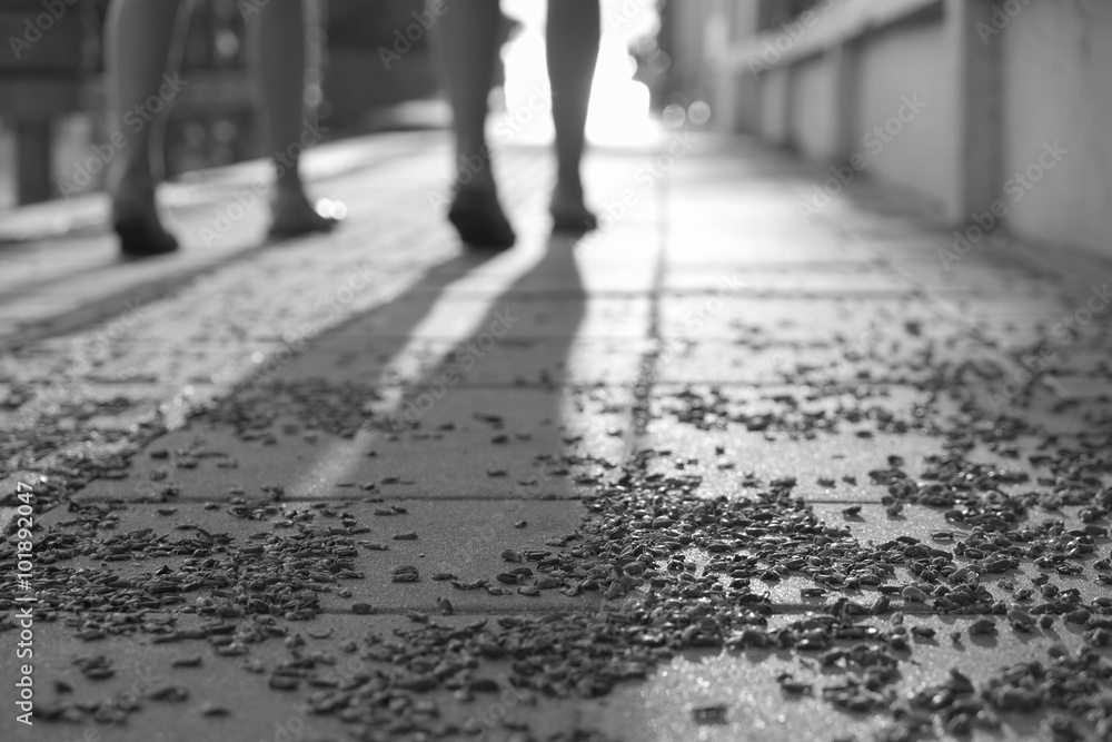 Black and white photo of female legs walking on street