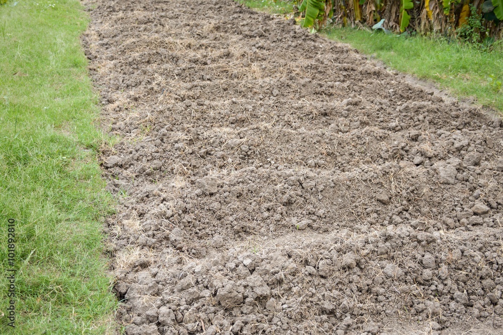 soil preparation for sowing vegetable in field agriculture soil preparation for sowing vegetable in field agriculture