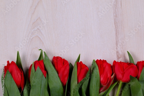 Fototapeta Naklejka Na Ścianę i Meble -  Tulipany